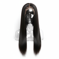 Black Women's Straight Lace Front Wig